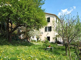 L'Albero delle Farfalle - Casa Vacanze