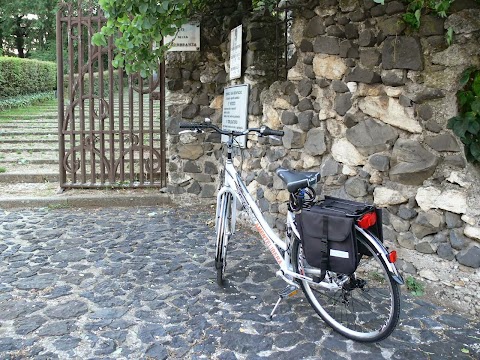 AMEntelibera - Ambiente, Mondialità, Educazione