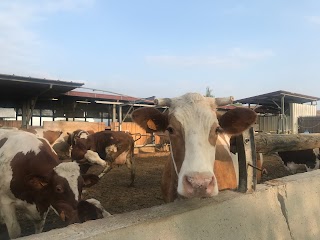 I Tesori della Terra Società Cooperativa Agricola Sociale Onlus