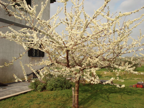 B&B La Mia Casa per Tutti