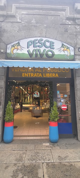 Pescheria Pesce Vivo Milano