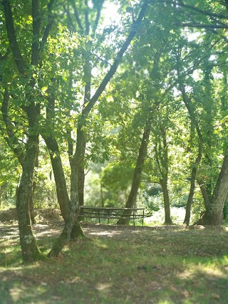 Parco Arenella