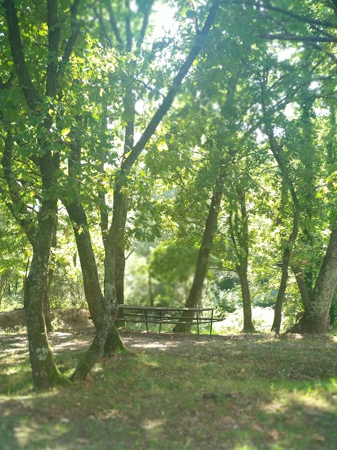 Parco Arenella