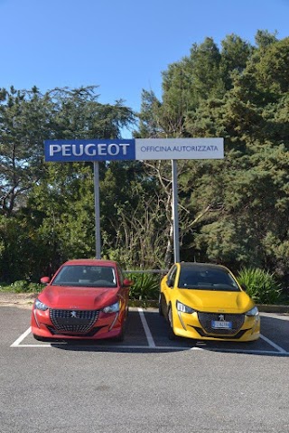 Peugeot Voyageur Auto snc