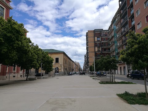 Direzione Didattica S. Giovanni Bosco 6 Circolo - Scuola d'Infanzia e Primaria Statale