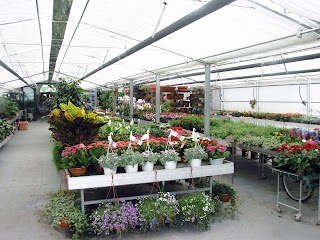 DAVELI GARDEN CENTER