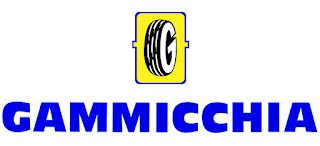 Gammicchia Gomme - Driver Center Pirelli