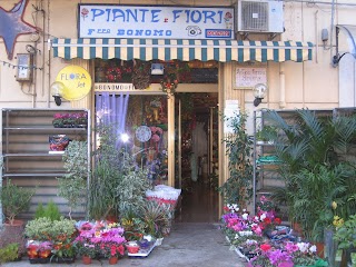 Bonomo Luigi Piante e Fiori