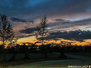 Malchiodi Angelo giardini