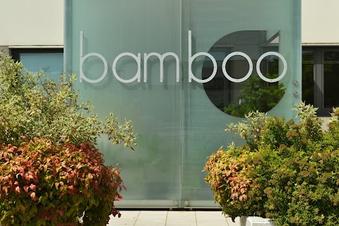 Bamboo Fitness