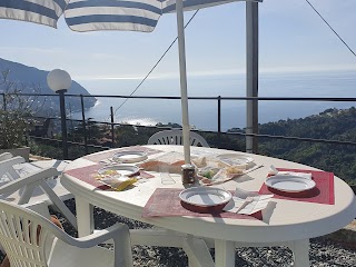 Agriturismo L'ulivo e il mare