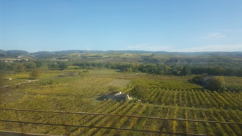 Circolo ARCI Lo Tsunami