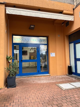 Centro Traumatologico Ortopedico Veterinario