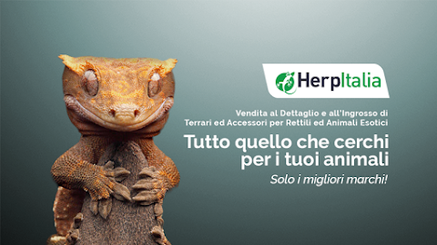 Herp Italia - terrari ed accessori per rettili ed animali esotici