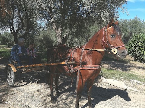 Sicily Horse Riding