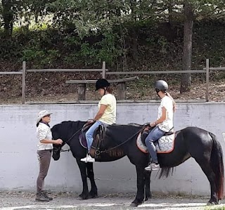 The HORSE Way Riding Centre