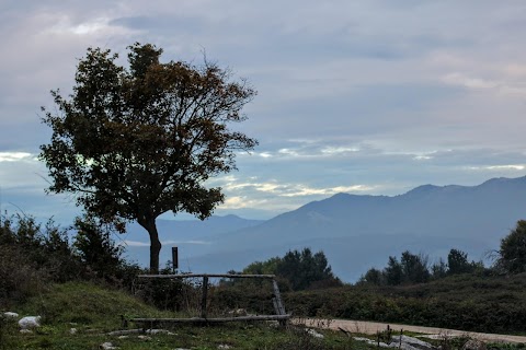 Piano della Civita di Artena