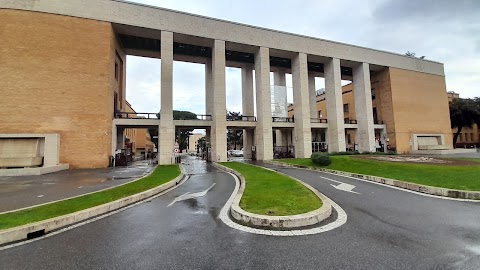 Sapienza Università di Roma