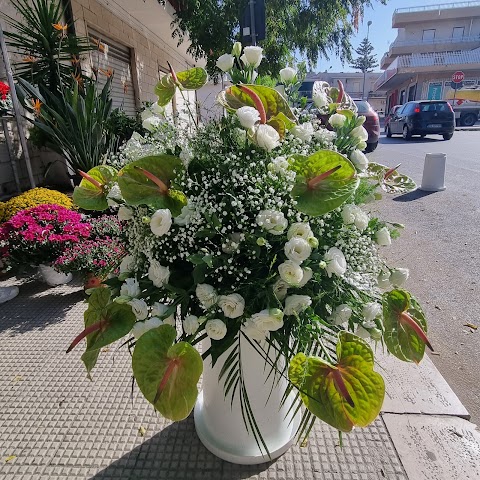 Il Giardino dei Fiori di Vino Antonella