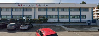 Consorzio Artemide