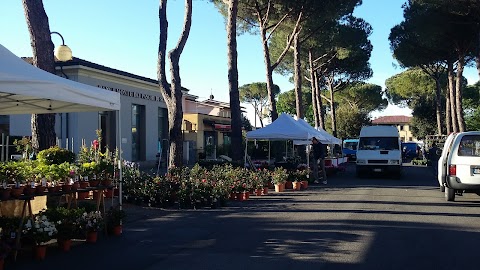 MoSi Viaggi e Pellegrinaggi di Cheli Silvia