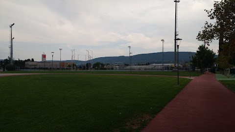 Arena Bonifica