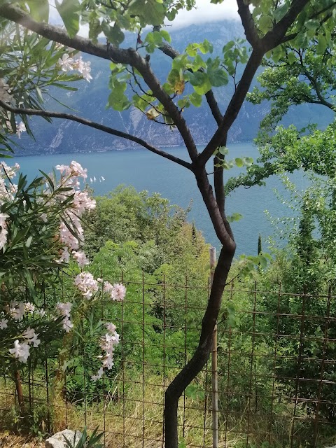 Parcheggio inizio percorso ciclopedonale Limone (disco orario120')