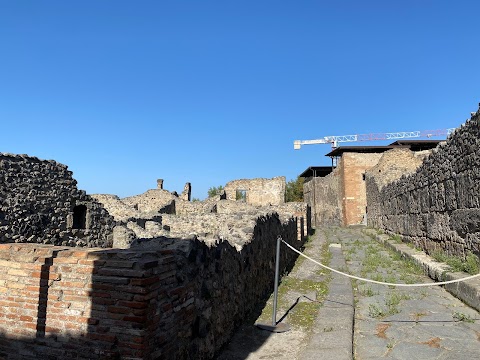 ASKOS TOURS - Pompeii Tour