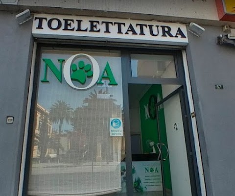 NOA Toelettatura