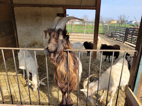 Agriturismo, Agripizzeria e Agrigelateria Il Giardino dei Sapori