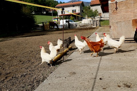 Nabucco Azienda Agricola