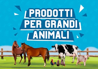 Farmazoo s.r.l. - Grandi Animali