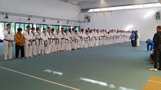 Arti marziali TAEKWONDO Team Mangione