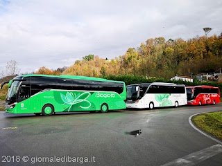 Biagiotti - Bus Taxi NCC