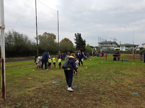 Rugby Club Latina asd