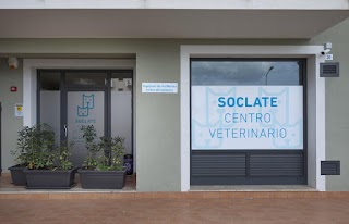 Centro Veterinario Carini - Soclate srl