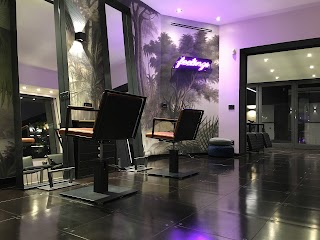 Dohd Salon Hair Beauty