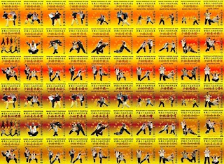 Shaolin KungFu Tradizionale del Nord