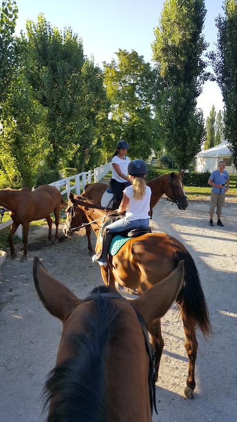 Centro Ippico Tenuta Santa Grazia - Isamar Horse Riding Center