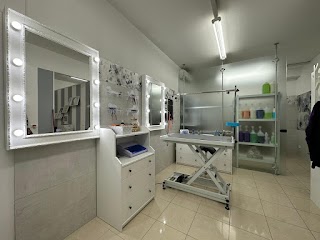 Grooming Studio - Toelettatura