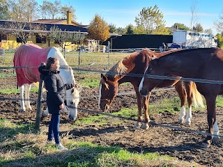 L’Associazione Sportiva “Cavalli del Brenta”