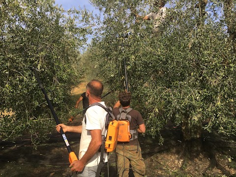 Fattoria I Greppi di Silli