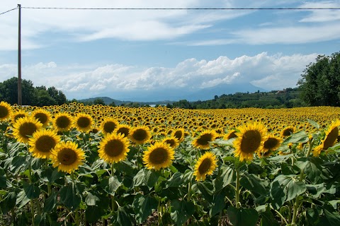 Agriturismo Tra Serra e Lago