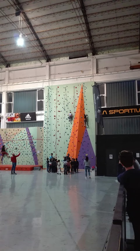 Urban Wall - Milano Climbing Factory