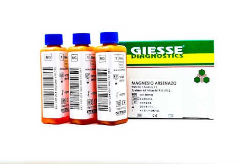 Giesse Diagnostics Srl