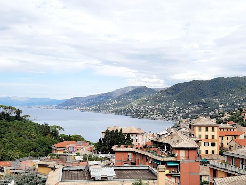 Rari Nantes Camogli