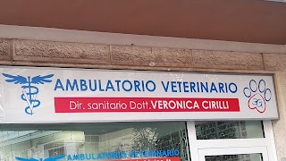 Ambulatorio Veterinario Balduina