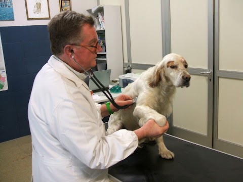 studio veterinario Dr. Marco Boccetti