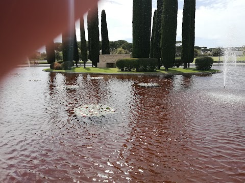 Nettuno