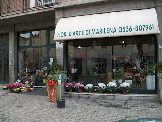 Fiori e arte di Marilena